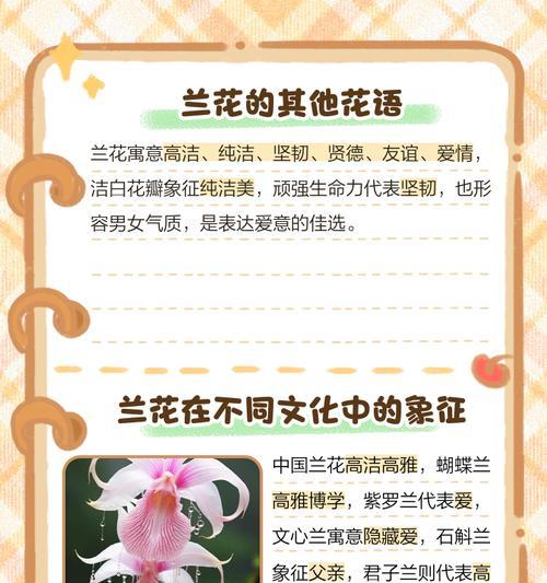 鬼兰花的花语和寓意是什么？鬼兰花传递了怎样的信息？