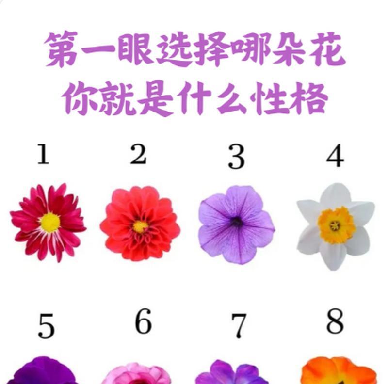 哪朵花的花语代表无尽奢华？