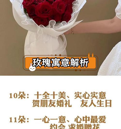 两朵玫瑰花发夹的含义是什么？代表了哪种情感？