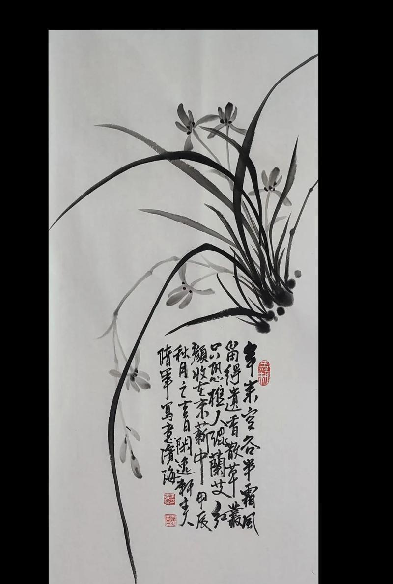 兰花的花语象征是什么？兰花象征的作文如何写？