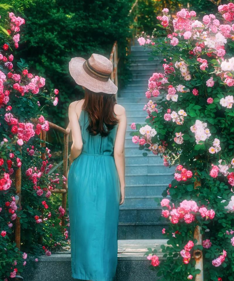 花语倾城的含义是什么？花语倾城代表什么？