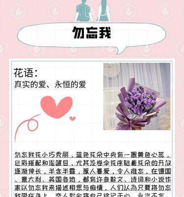 表白时送什么花语最合适？花语背后的含义是什么？