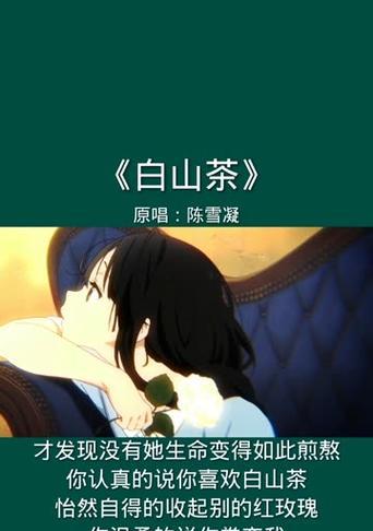 你怎么轻视我的爱是什么花语？哪种花代表被轻视的爱情？