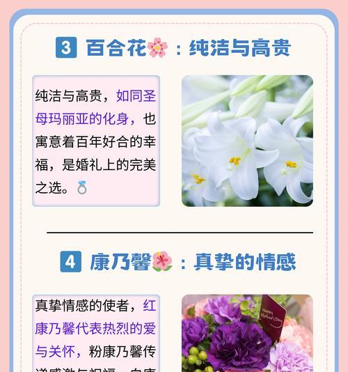 嫁出去的花语是什么意思？它象征着什么？