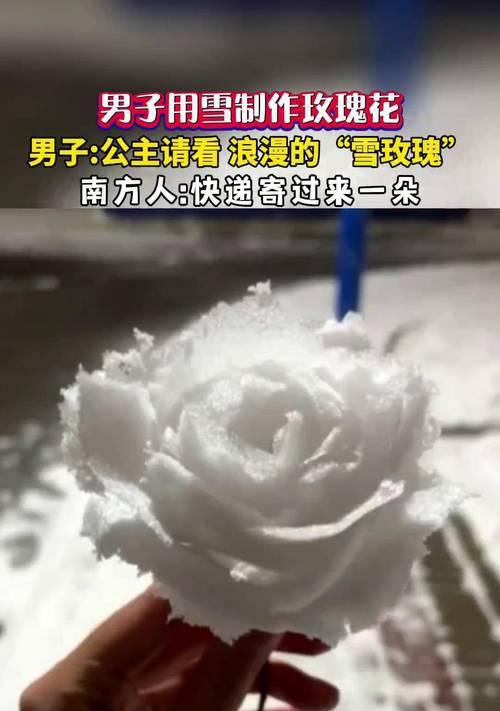 男朋友制作雪玫瑰花代表什么？雪玫瑰花在情感表达中有何特殊含义？