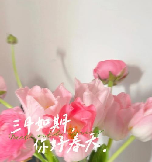送给三月的花语是什么呢？三月有哪些花语特别适合表达祝福？