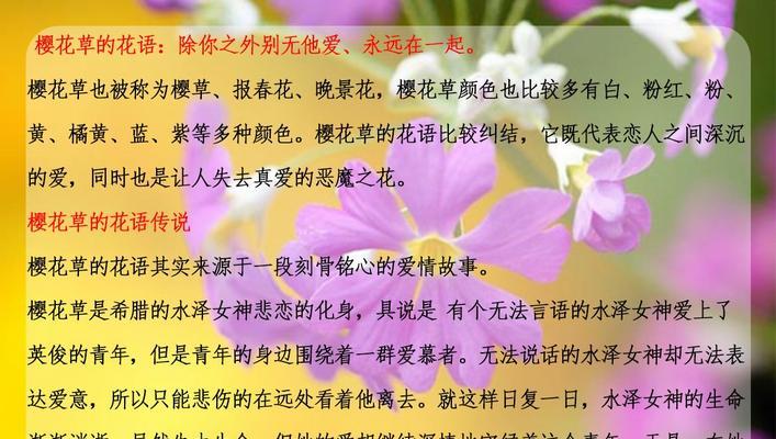送樱花时应该了解的寓意和花语是什么？
