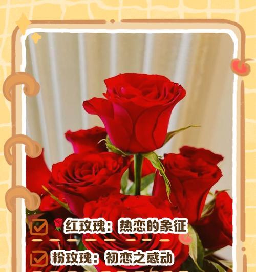 老公送老婆玫瑰应该选择什么颜色？每种颜色的花语是什么？