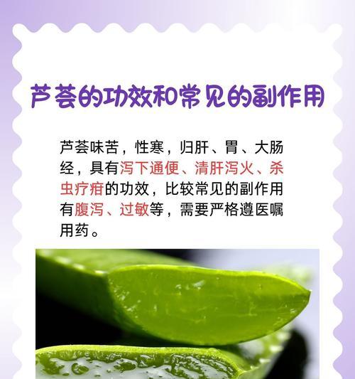 芦荟的花语有何含义？它代表了什么？