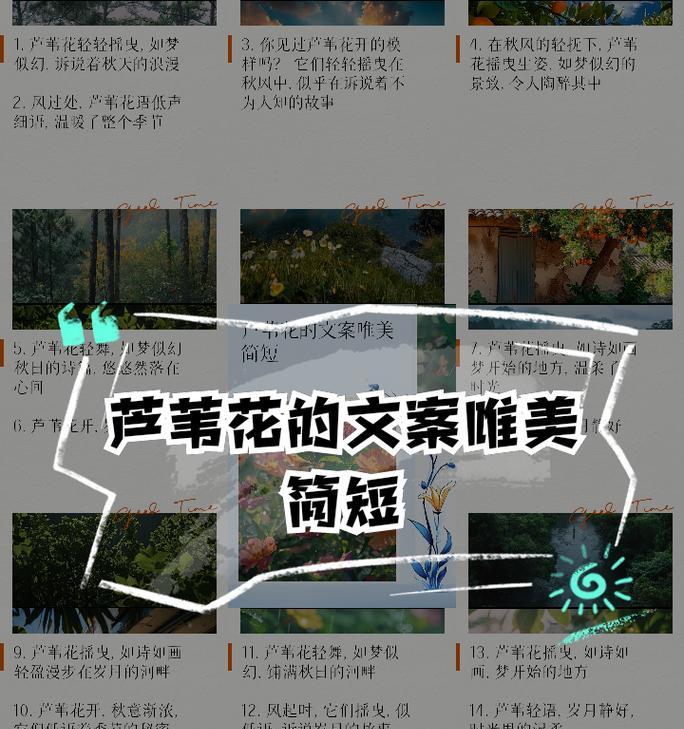 秋季开花的植物有哪些花语和寓意？