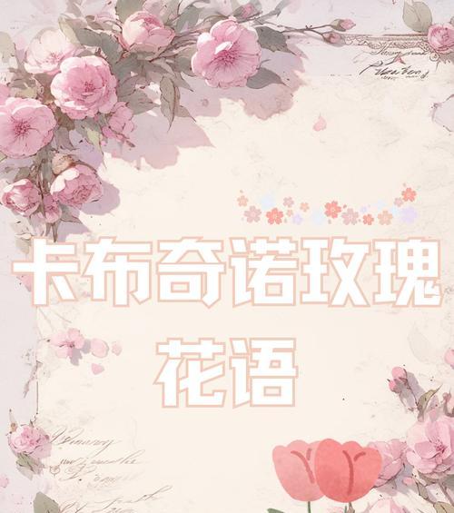 青玫瑰的花语是什么？它象征着什么？