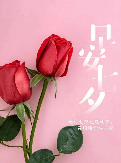 哪种花代表智慧的花语？