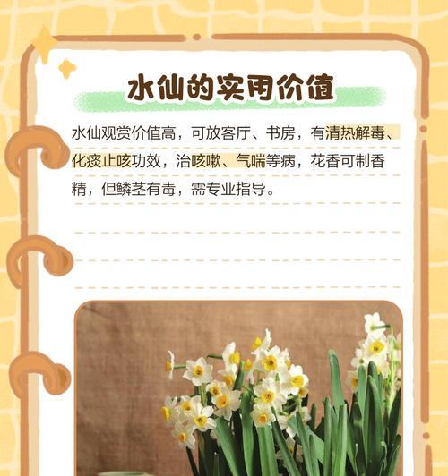 哪种花的花语与水仙花相似？
