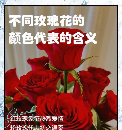 玫瑰花祝福的含义通常是什么？