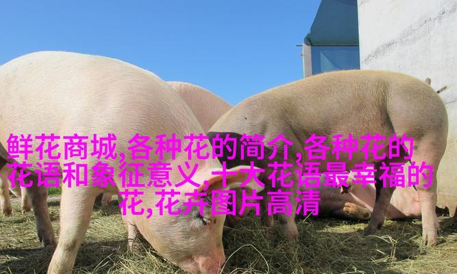 新花语中有哪些动物的象征意义？