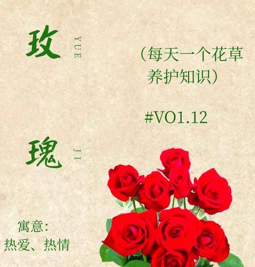 玫瑰花花语是什么？为什么玫瑰代表爱情？