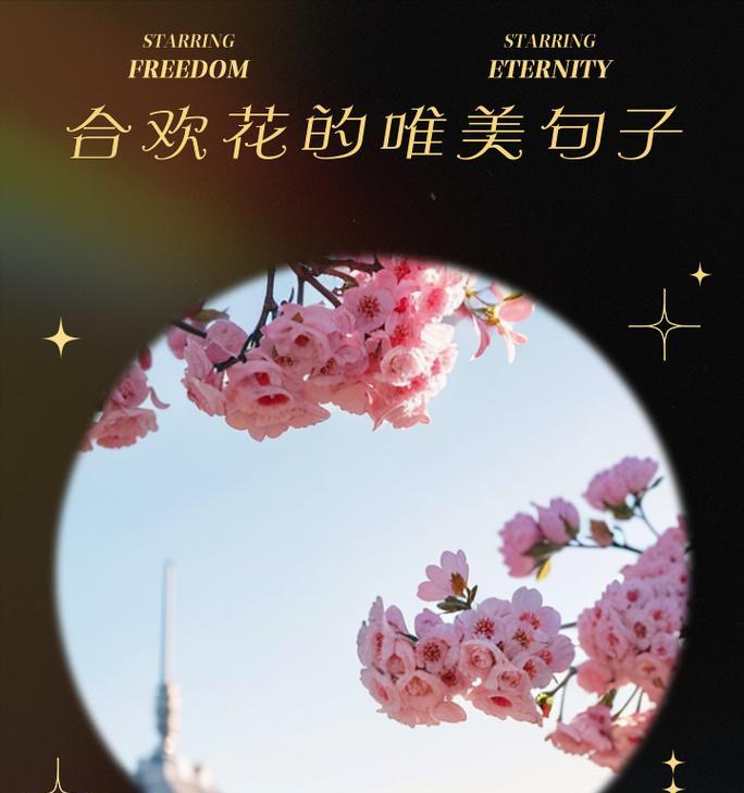 道具轻盈的花语代表什么含义？