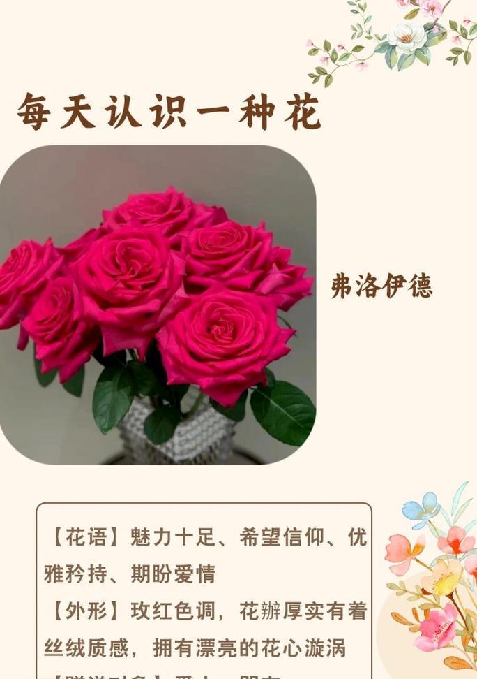 弗洛伊德搭配花语有何深意？