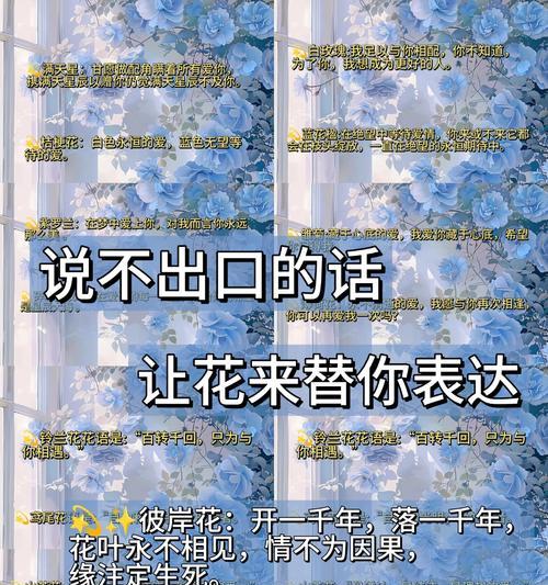 哪种花语最能表达对父亲的思念？