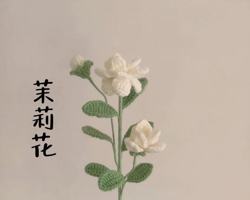 茉莉花的花语代表金钱吗？它的寓意又是什么？