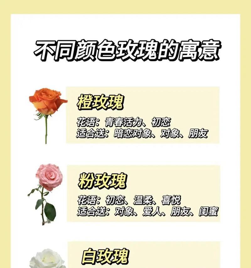 与暗恋思念有关的花语是什么？花语中如何表达暗恋和思念？