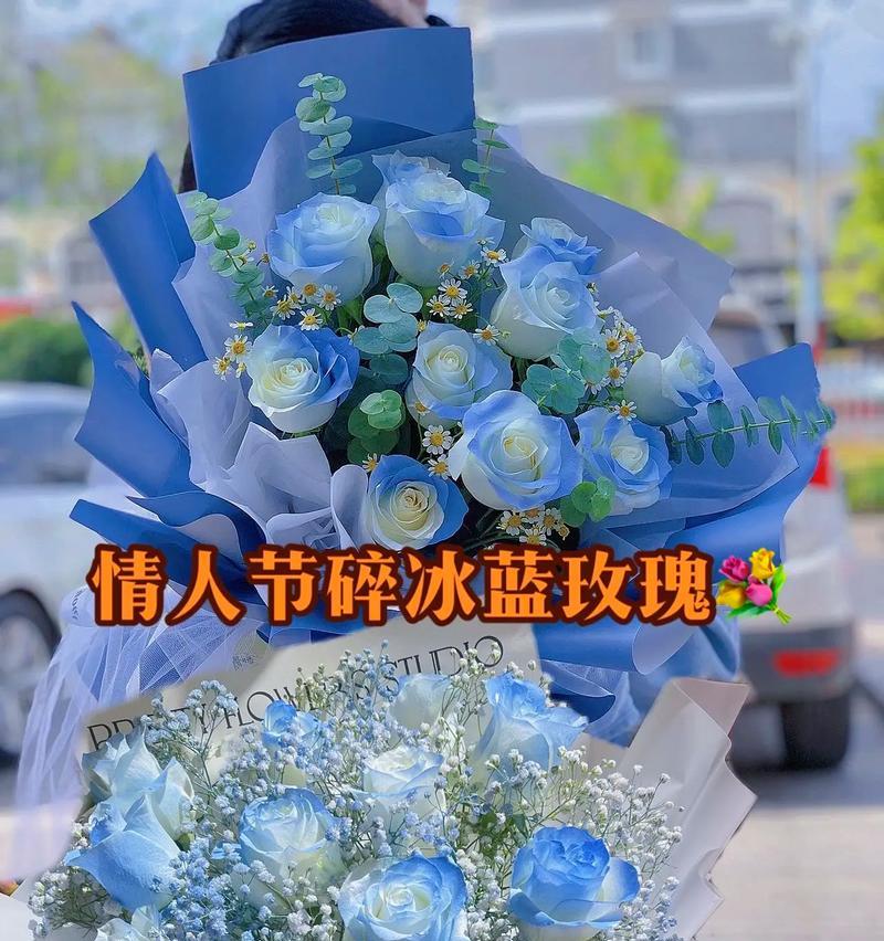 赛尔曼玫瑰的花语有何含义？