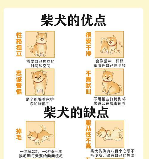 微笑的柴犬花语是什么呢？柴犬形象的花语有何寓意？