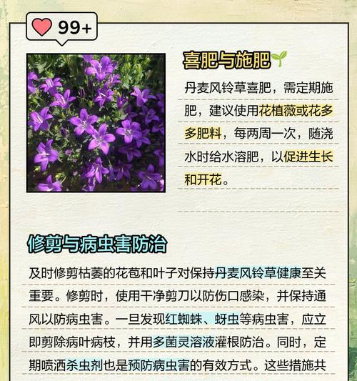 丹麦风铃的花语有何含义？它在文化中如何被理解？