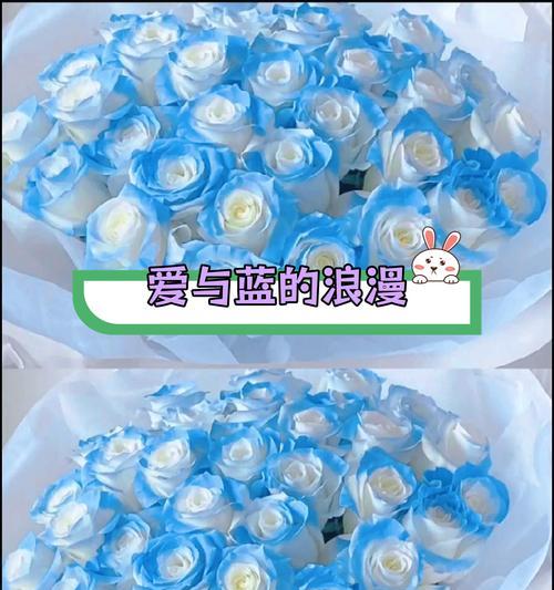 蓝玫瑰的花语揭示了什么秘密？