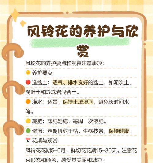 风铃花不同颜色的花语有何不同？