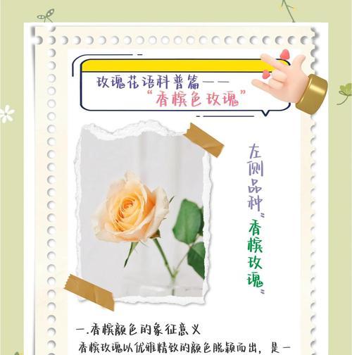 相爱不成送玫瑰花有何寓意？