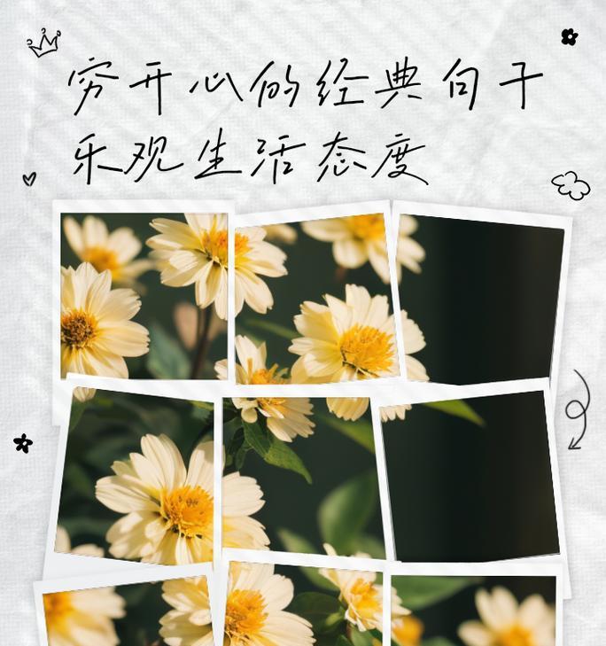 做自己的快乐花语有何寓意？它传达了怎样的生活态度？