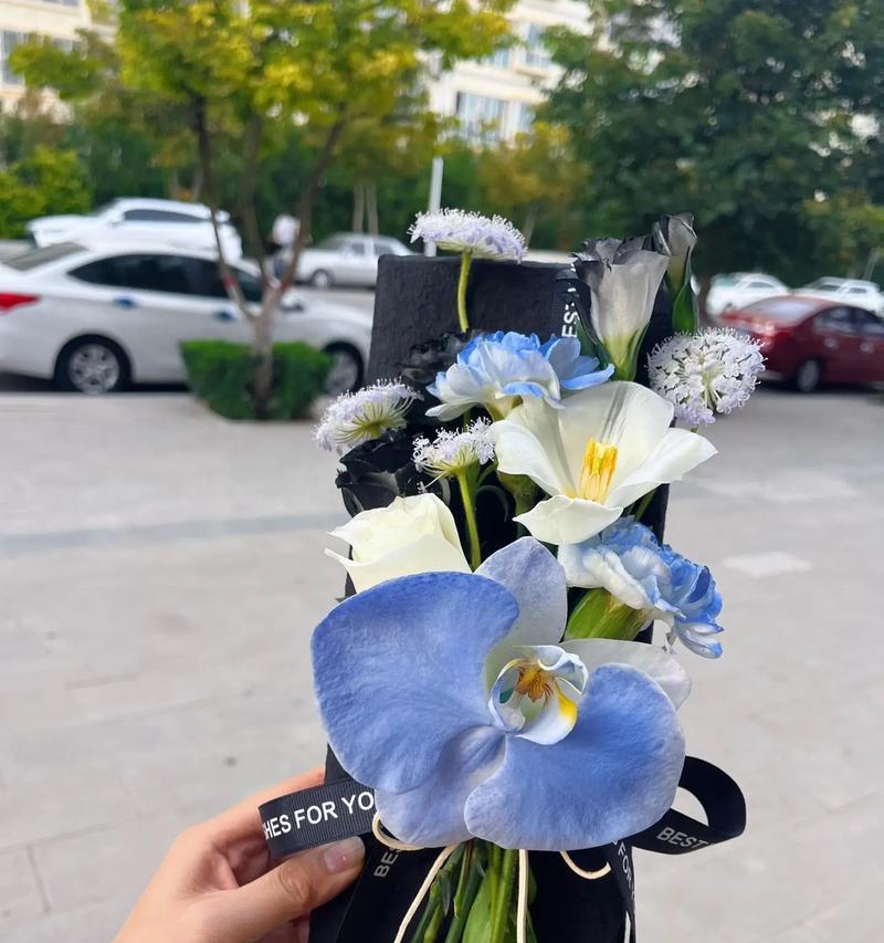 送男生花时应该了解哪些花语？