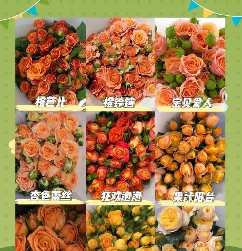 粉色与橙色玫瑰的花语是什么？它们各自有何含义？