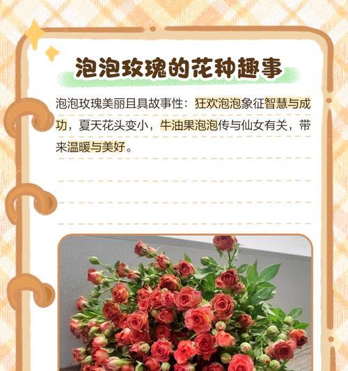 粉色与橙色玫瑰的花语是什么？它们各自有何含义？