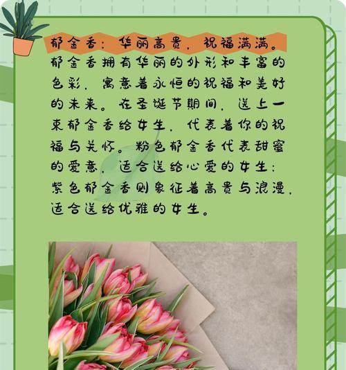 红玫瑰代表的真挚情感是什么？