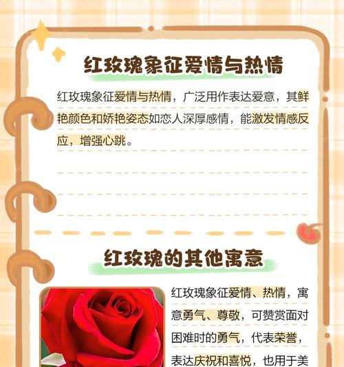 红玫瑰代表的真挚情感是什么？