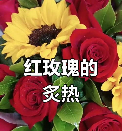红玫瑰代表的真挚情感是什么？