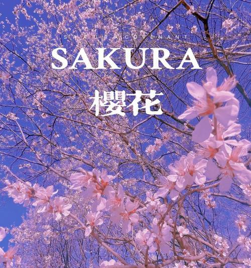 紫色桃花象征着什么？