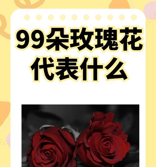 送男生花送什么好？花语应该表达什么？