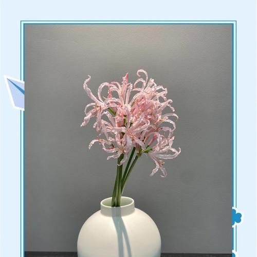 佛前供花时花语写什么比较合适？供花时应如何表达敬意？