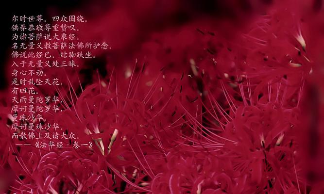 佛前供花时花语写什么比较合适？供花时应如何表达敬意？