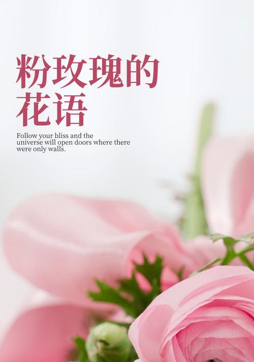 浪漫满怀的花语是什么意思？它如何表达情感？
