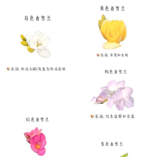给亲人们的花语是什么？如何选择合适的花朵传达亲情？