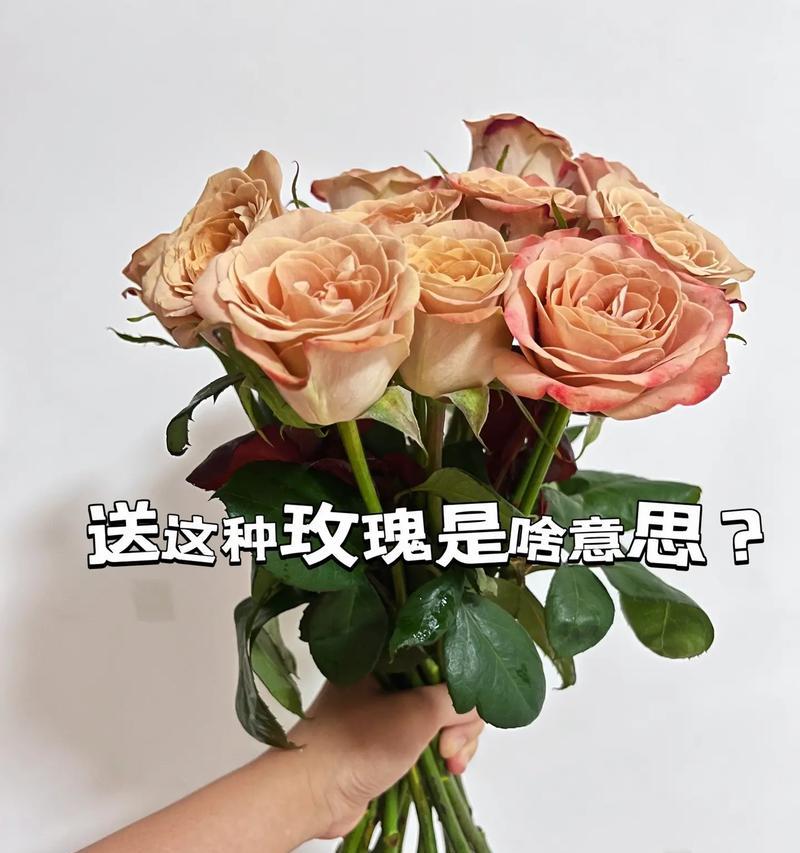 这束花代表的含义是什么？
