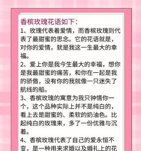 香槟玫瑰代表什么？它的花语有何特别之处？