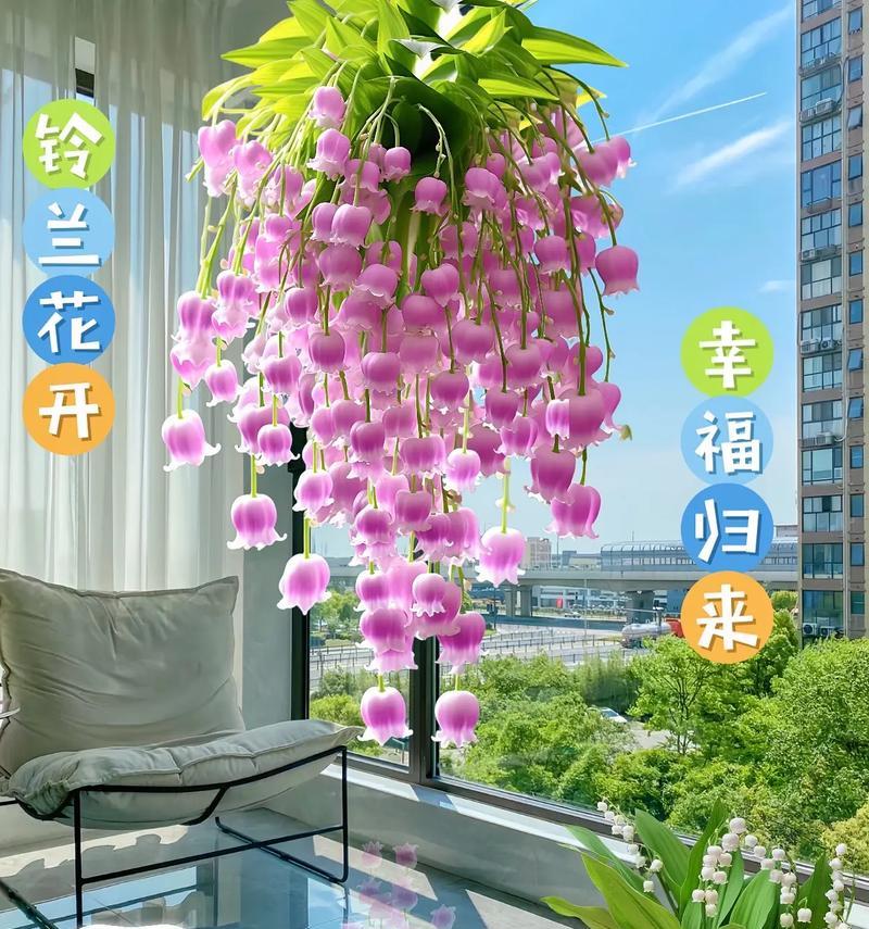 铃兰配百合是什么花语？这两种花搭配有什么特别含义？
