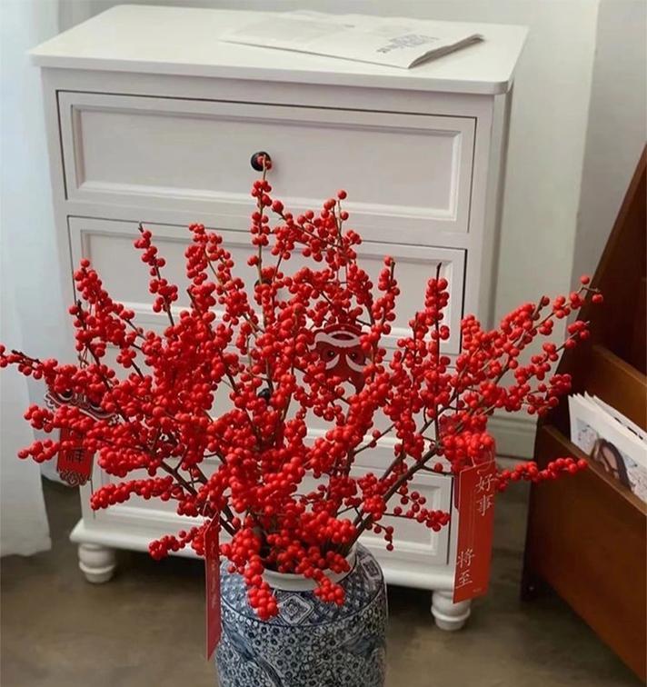 北美冬青花语有何寓意？代表什么？