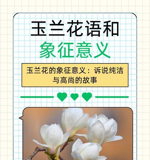 10月的花语是什么？有哪些花在10月代表特别的意义？