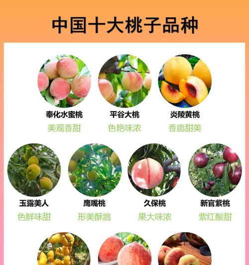 东方桃子为什么有花语公主的血脉？东方桃子的花语有何特别之处？